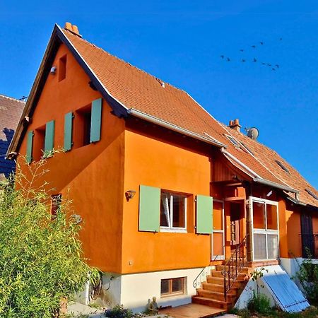 Beau Logement Au Centre D'Alsace Epfig Bagian luar foto